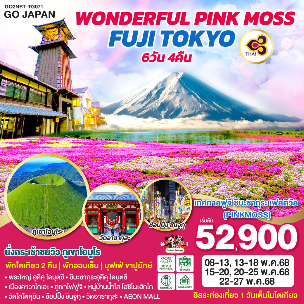 ทัวร์ญี่ปุ่น ONDERFUL PINKMOSS FUJI TOKYO 6วัน 4คืน [TG]