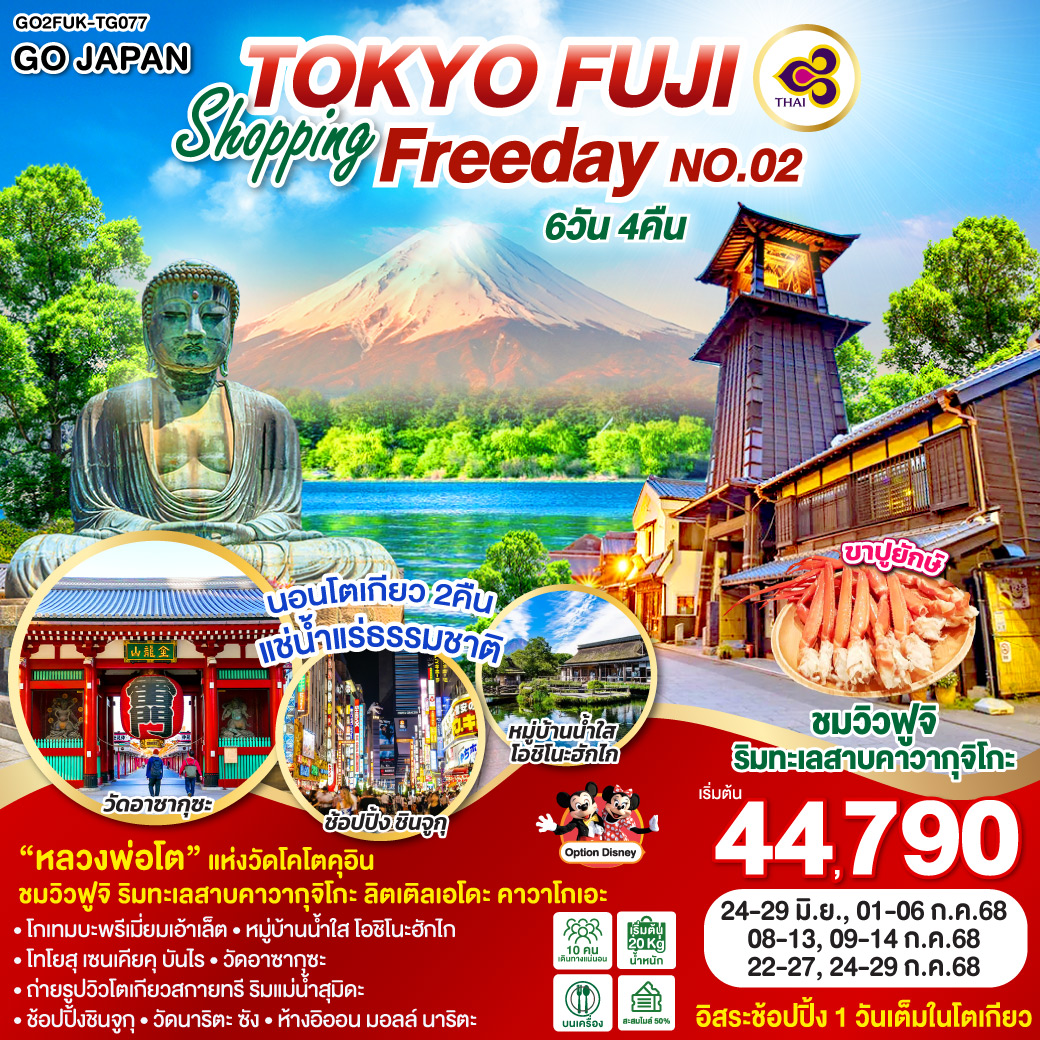 ทัวร์ญี่ปุ่น TOKYO FUJI SHOPPING FREE DAY NO.02 6วัน 4คืน  (TG)