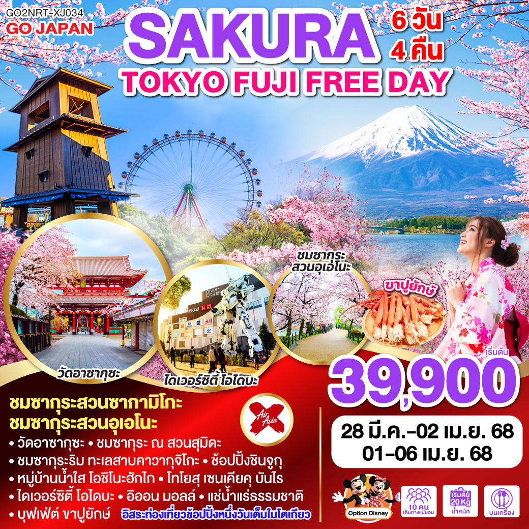 ทัวร์ญี่ปุ่น TOKYO FUJI SAKURA 5วัน 3คืน (XJ)